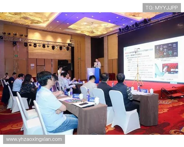 上海羽毛球队创新防反战术全面解析助力竞技水平提升