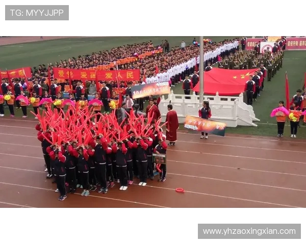 乒乓球传奇陈秀英的成长与奋斗之路深度对话