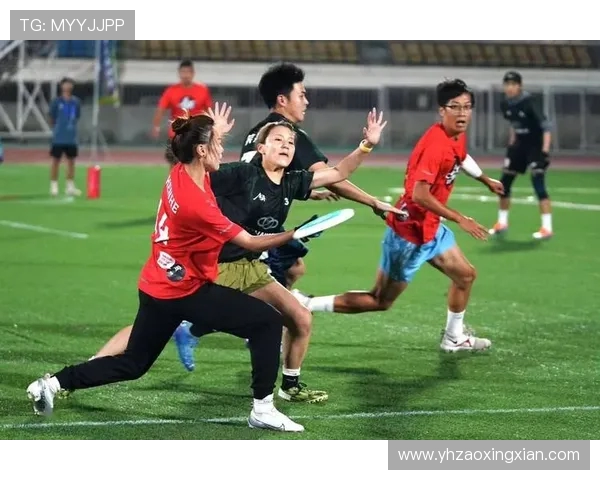 北京飞盘队运营分析：成功经验与面临挑战的全面探讨